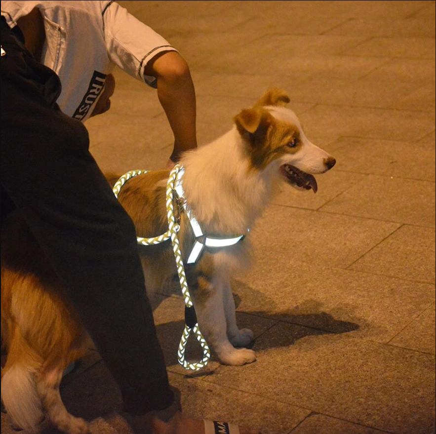 ce0b236a497d32a3a5ef5a07331e713d ce0b236a497d32a3a5ef5a07331e713d